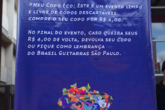 Brasil-Guitarras_MilaMaluhy-5296